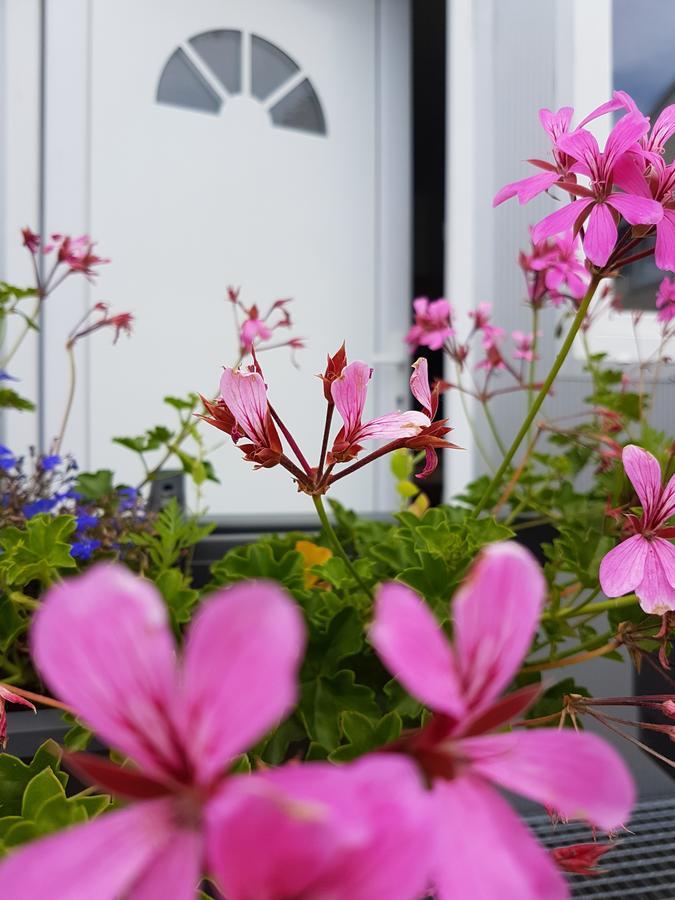 Szilas Park Motel Nagytarcsa Eksteriør billede